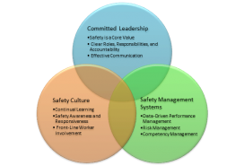 Graphic showing safety topics from a report on Safety Management Systems